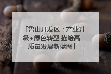 鲁山开发区：产业升级+绿色转型 描绘高质量发展新蓝图