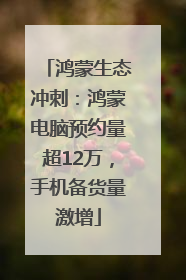 鸿蒙生态冲刺：鸿蒙电脑预约量超12万，手机备货量激增
