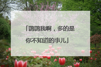 鹮鹮我啊，多的是你不知道的事儿