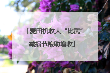 麦田机收大“比武” 减损节粮助增收