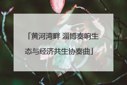 黄河湾畔 淄博奏响生态与经济共生协奏曲