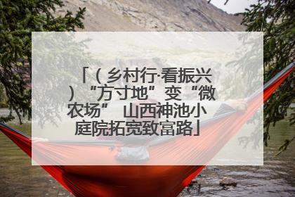 （乡村行·看振兴）“方寸地”变“微农场” 山西神池小庭院拓宽致富路