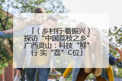 （乡村行·看振兴）探访“中国荔枝之乡”广西灵山：科技“鲜”行 实“荔”C位