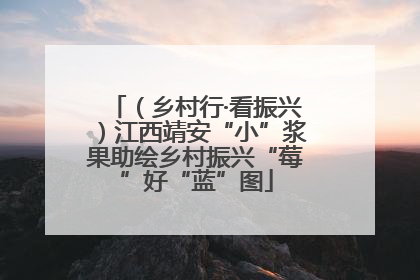 （乡村行·看振兴）江西靖安“小”浆果助绘乡村振兴“莓”好“蓝”图