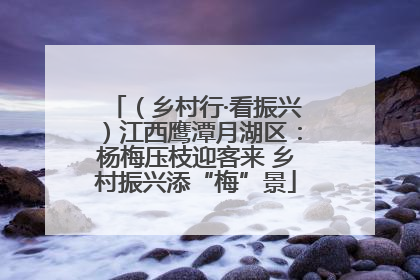 （乡村行·看振兴）江西鹰潭月湖区：杨梅压枝迎客来 乡村振兴添“梅”景