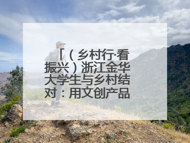 （乡村行·看振兴）浙江金华大学生与乡村结对：用文创产品赋能乡村振兴