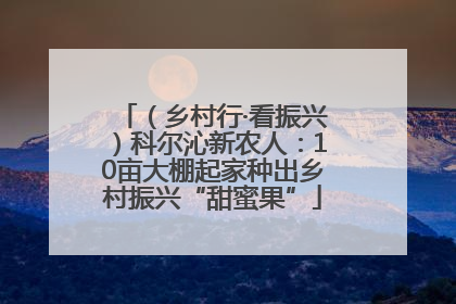 （乡村行·看振兴）科尔沁新农人：10亩大棚起家种出乡村振兴“甜蜜果”