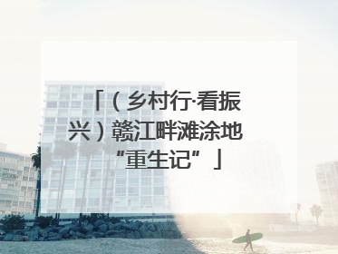 （乡村行·看振兴）赣江畔滩涂地“重生记”