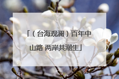 （台海观澜）百年中山路 两岸共潮生