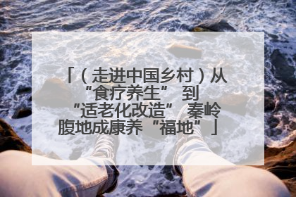 （走进中国乡村）从 “食疗养生” 到 “适老化改造” 秦岭腹地成康养“福地”