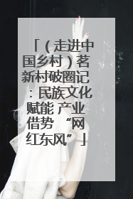 （走进中国乡村）茗新村破圈记：民族文化赋能 产业借势 “网红东风”