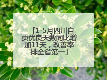 1-5月四川自贡优良天数同比增加11天，改善率排全省第一