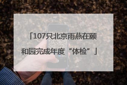 107只北京雨燕在颐和园完成年度“体检”