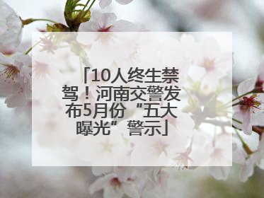 10人终生禁驾！河南交警发布5月份“五大曝光”警示