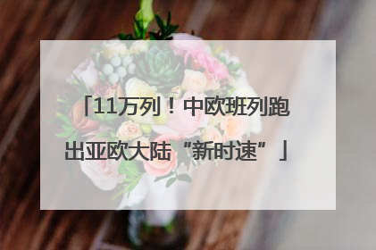 11万列！中欧班列跑出亚欧大陆“新时速”