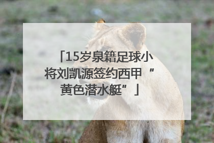 15岁泉籍足球小将刘凯源签约西甲“黄色潜水艇”