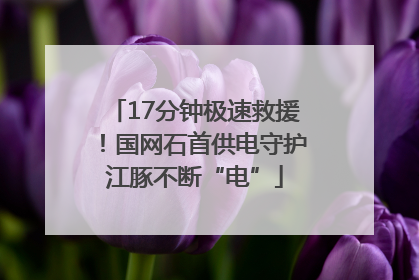 17分钟极速救援！国网石首供电守护江豚不断“电”