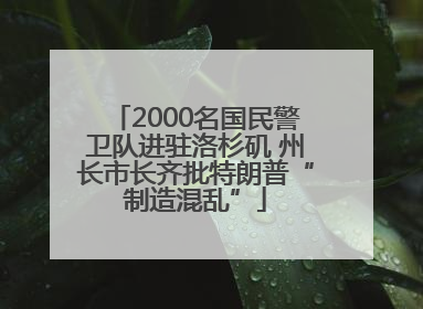 2000名国民警卫队进驻洛杉矶 州长市长齐批特朗普“制造混乱”