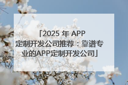 2025 年 APP 定制开发公司推荐：靠谱专业的APP定制开发公司