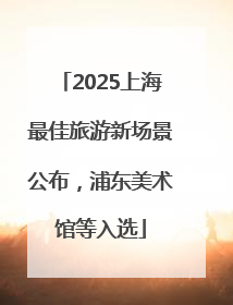 2025上海最佳旅游新场景公布，浦东美术馆等入选