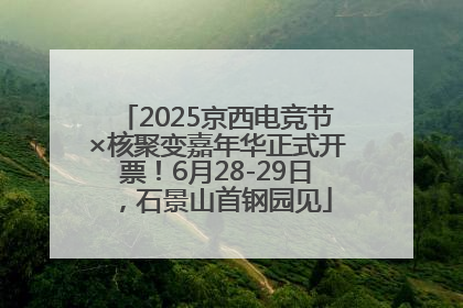 2025京西电竞节×核聚变嘉年华正式开票！6月28-29日，石景山首钢园见