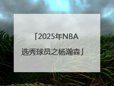 2025年NBA选秀球员之杨瀚森