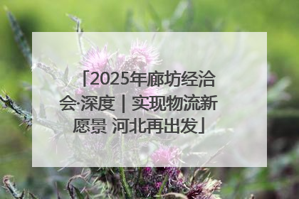 2025年廊坊经洽会·深度｜实现物流新愿景 河北再出发