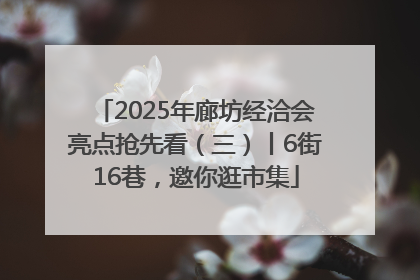 2025年廊坊经洽会亮点抢先看（三）丨6街16巷，邀你逛市集