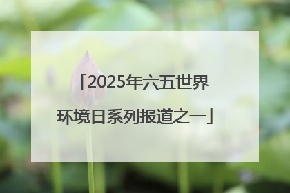2025年六五世界环境日系列报道之一