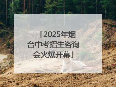 2025年烟台中考招生咨询会火爆开幕