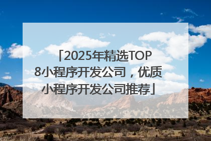 2025年精选TOP8小程序开发公司，优质小程序开发公司推荐