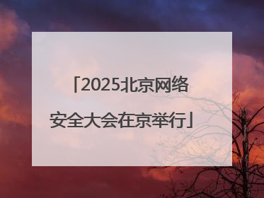 2025北京网络安全大会在京举行