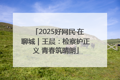 2025好网民·在聊城｜王晨：检察护正义 青春筑晴朗
