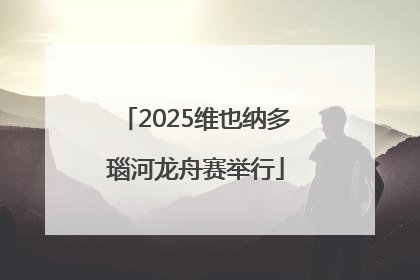 2025维也纳多瑙河龙舟赛举行
