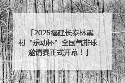 2025福建长泰林溪村“乐动杯”全国气排球邀请赛正式开幕！