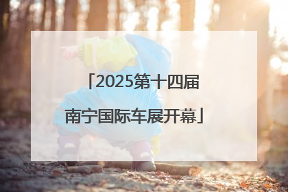 2025第十四届南宁国际车展开幕
