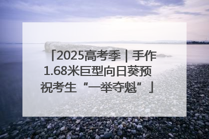 2025高考季｜手作1.68米巨型向日葵预祝考生“一举夺魁”