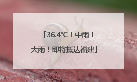 36.4℃！中雨！大雨！即将抵达福建
