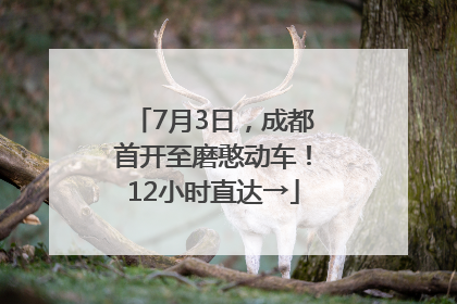 7月3日，成都首开至磨憨动车！12小时直达→
