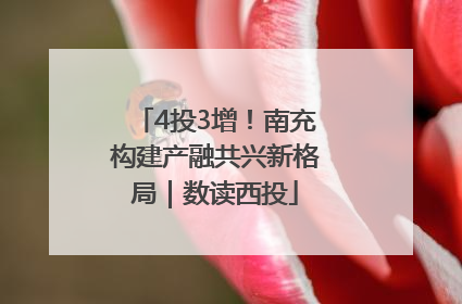 4投3增！南充构建产融共兴新格局｜数读西投