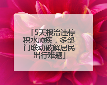 5天根治违停积水顽疾，多部门联动破解居民出行难题