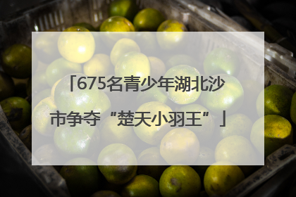 675名青少年湖北沙市争夺“楚天小羽王”