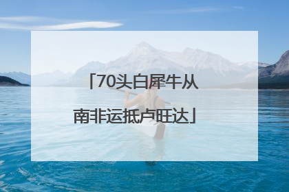 70头白犀牛从南非运抵卢旺达
