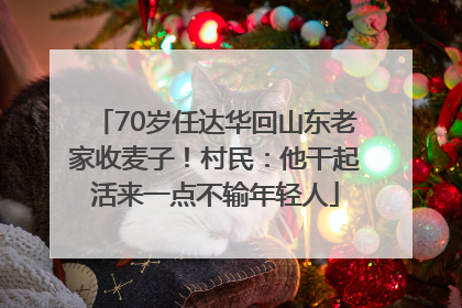 70岁任达华回山东老家收麦子！村民：他干起活来一点不输年轻人