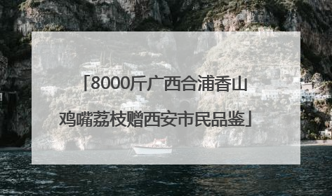 8000斤广西合浦香山鸡嘴荔枝赠西安市民品鉴