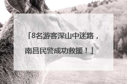 8名游客深山中迷路，南昌民警成功救援！