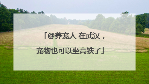 @养宠人 在武汉，宠物也可以坐高铁了