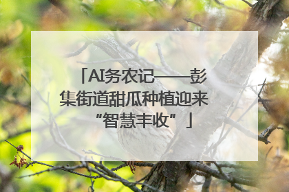 AI务农记——彭集街道甜瓜种植迎来“智慧丰收”