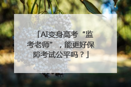 AI变身高考“监考老师”，能更好保障考试公平吗？