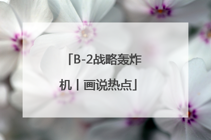 B-2战略轰炸机丨画说热点